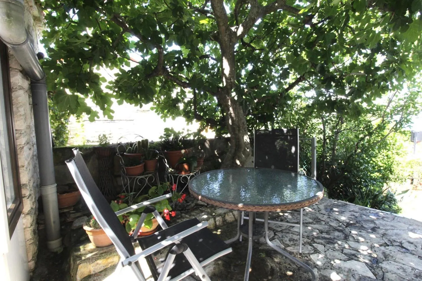 צרבני ורך Apartment Karmen With Sea View צרבני ורך